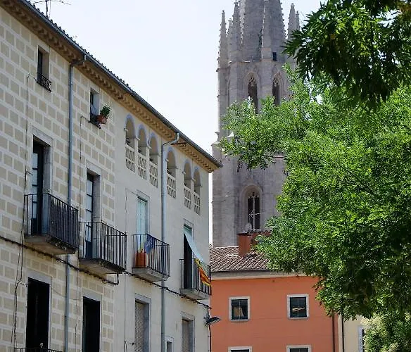 Apartmán Rosa Street *